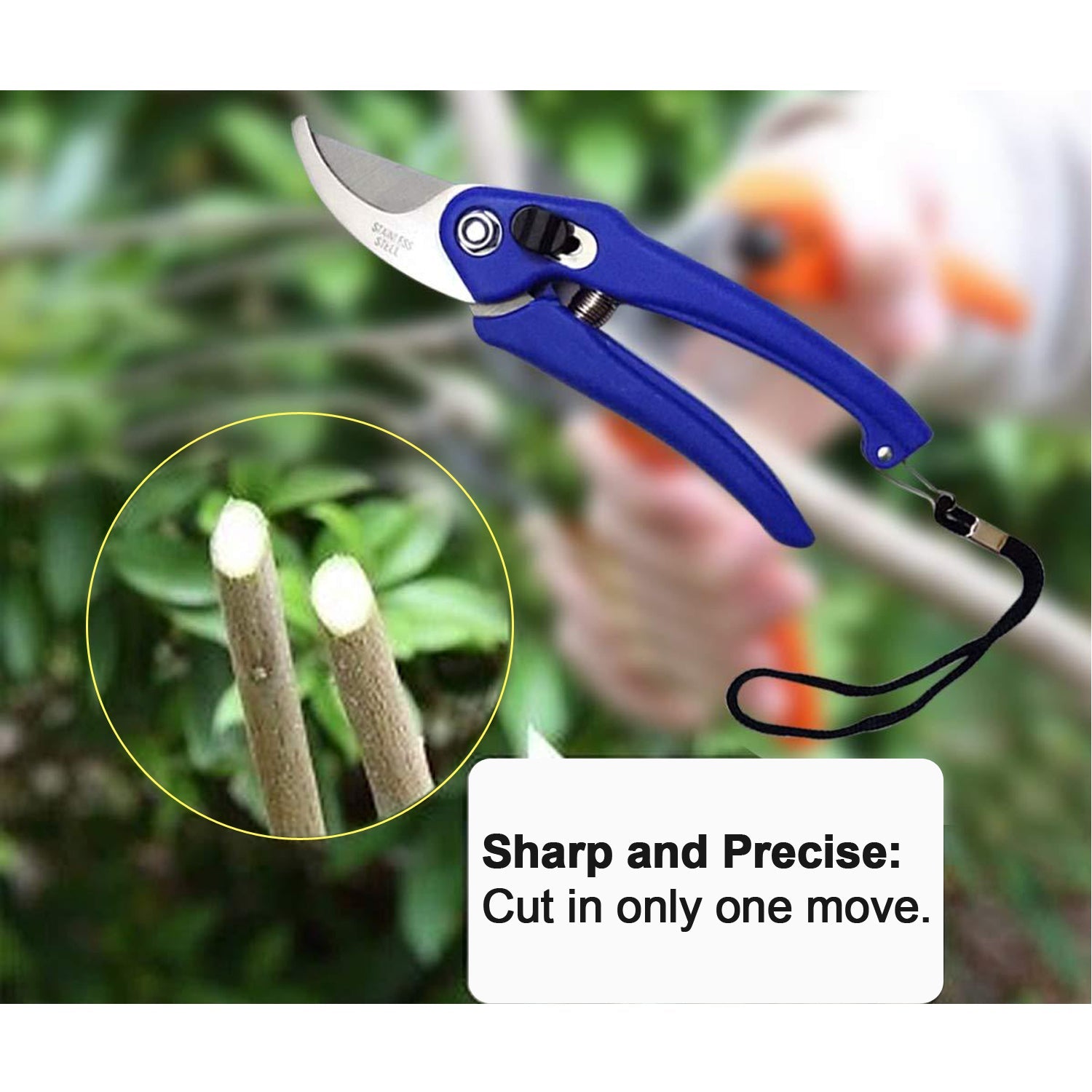 0465A Garden Shears Pruners Scissor for Cutting Branches, Flowers, Leaves, Pruning Seeds DeoDap 0465A Garden Shears Pruners Scissor for Cutting Branches, Flowers, Leaves, Pruning Seeds DeoDap